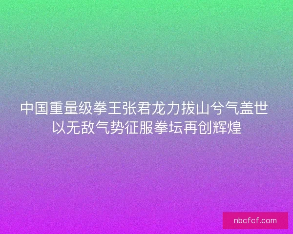 中国重量级拳王张君龙力拔山兮气盖世 以无敌气势征服拳坛再创辉煌