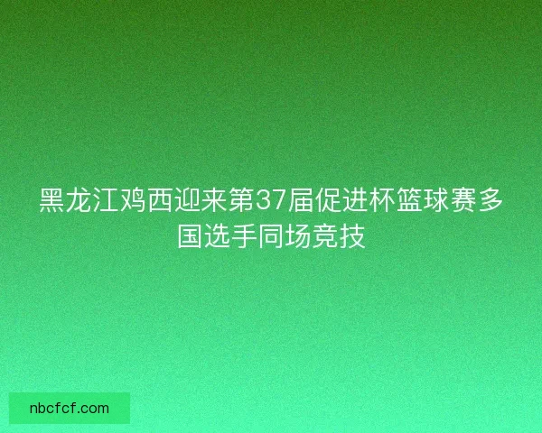 黑龙江鸡西迎来第37届促进杯篮球赛多国选手同场竞技